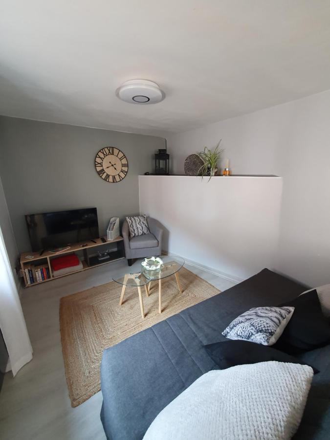 Le Petit Fleck Apartment Haguenau Exterior photo